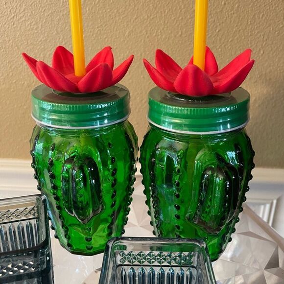 Target Bullseye Glass Cactus Flower Mason Jar Glasses set of 2 Sealed! - Picture 13 of 16